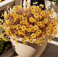 marigold-yellow