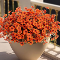 harvest-orange